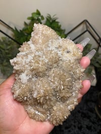 Image 3 of Dog Tooth Calcite