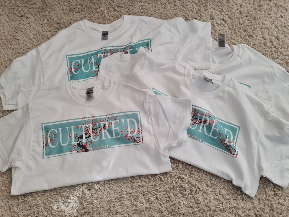 Shirts Collection 1