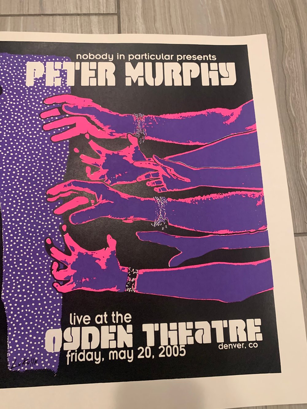 Peter Murphy Silkscreen Concert Poster By Lindsey Kuhn