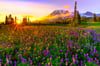 Spring Meadow (type) ~ Wax Melts ~ Made To Order