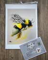 The Worker Limited Edition Prints
