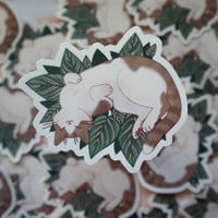 Image 1 of ☆ LAST CHANCE ☆  Calathea Ornata Sticker