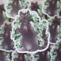 Image 1 of Monstera Albo Sticker