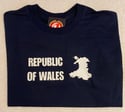REPUBLIC OF WALES MENS T-SHIRT
