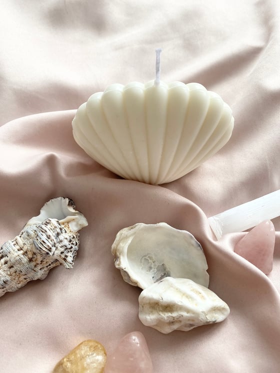 Image of Naia&Co Seashell candle Latte