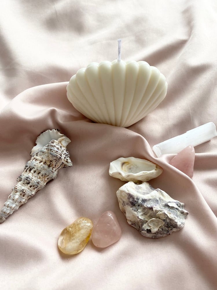 Image of Naia&Co Seashell candle Latte