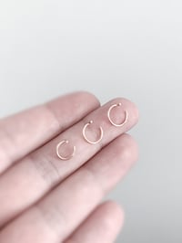 Image 4 of Tiny T Hoops