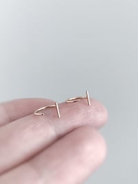 Image 1 of Tiny T Hoops