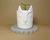 Cat Pot - Custom