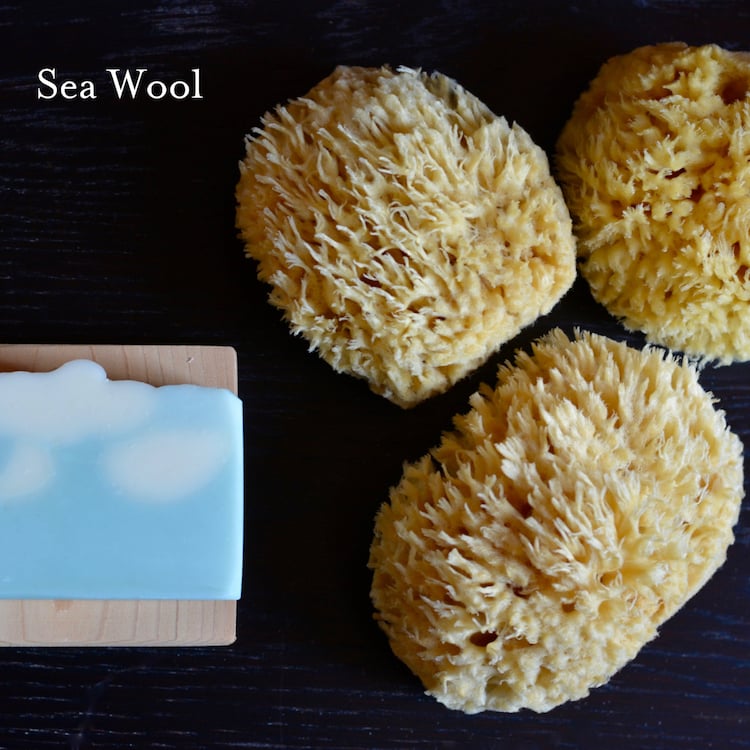 WHOA BABY! Ultra Soft & Gentle Small Sea Wool Bath Sponge