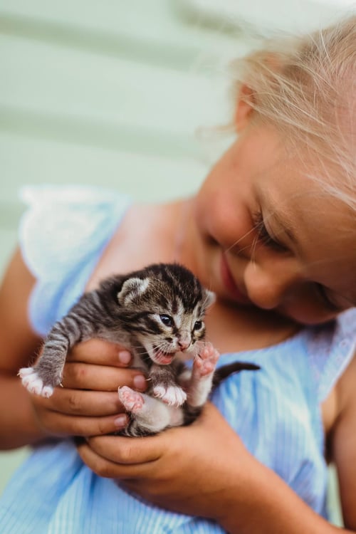Image of Reserved for Cassie - Family Session