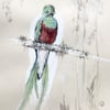 Carte postale "Le quetzal resplendissant sur sa branche"