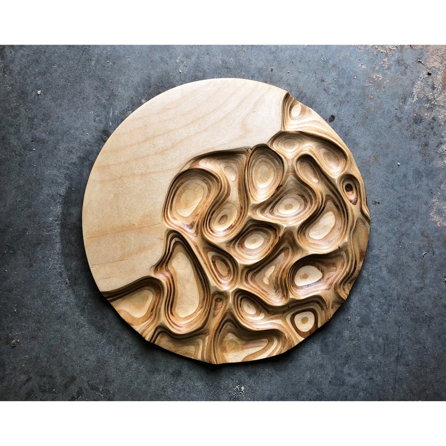 Image of What Lies Beneath #2. Ply carving. 