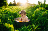 Image 4 of Summertime Fruit Mini Session