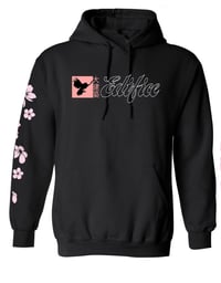 Image 1 of EDIFICE JAPAN CRANE PULL OVER HOODIE 