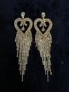 Glamorous Earrings 💎