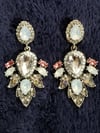 Elegance Earrings 