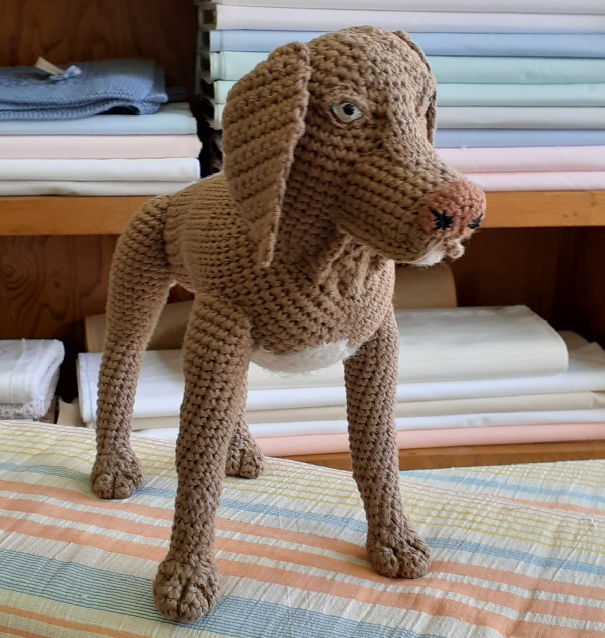 Bonecos - Animais de estimação personalizados - Disponível mediante encomenda