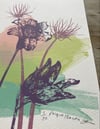 Julia Ogden Limited Edition Screen-print 'Pasque Flowers' 5/50
