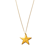 Image 4 of Sautoir Etoile / Star Long Necklace