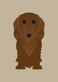 Image 4 of Longhair Dachshund Collection