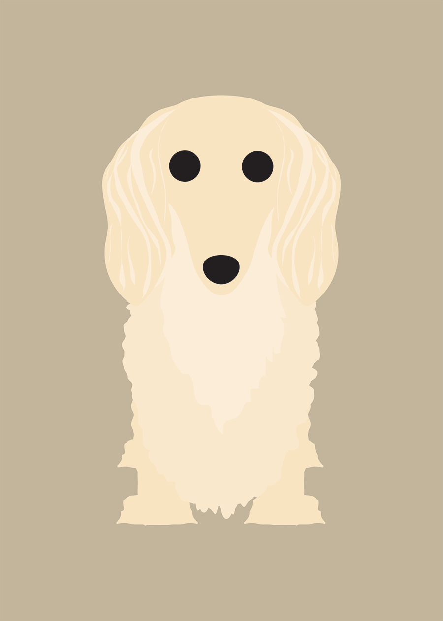 Longhair Dachshund Collection