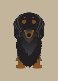 Image 1 of Longhair Dachshund Collection