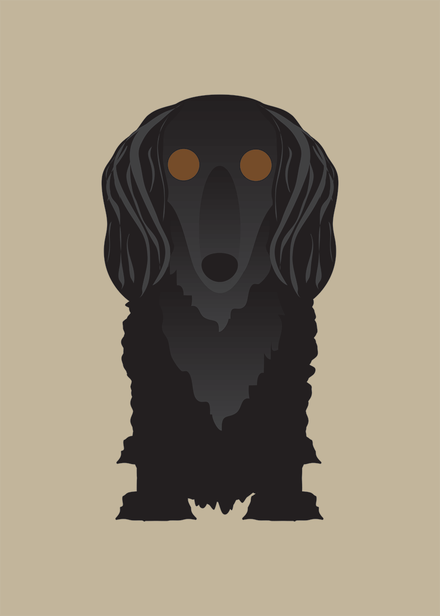Longhair Dachshund Collection