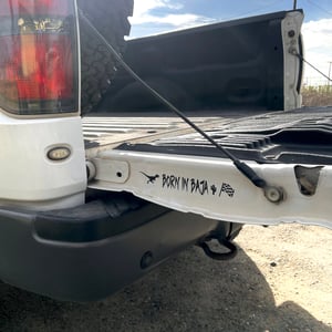 Image of Born In Baja 