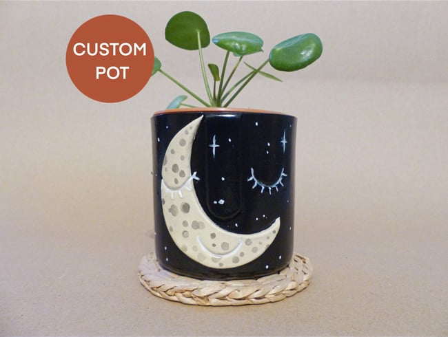 Custom Face Pot