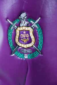 Image 5 of Omega Psi Phi Golf Bag