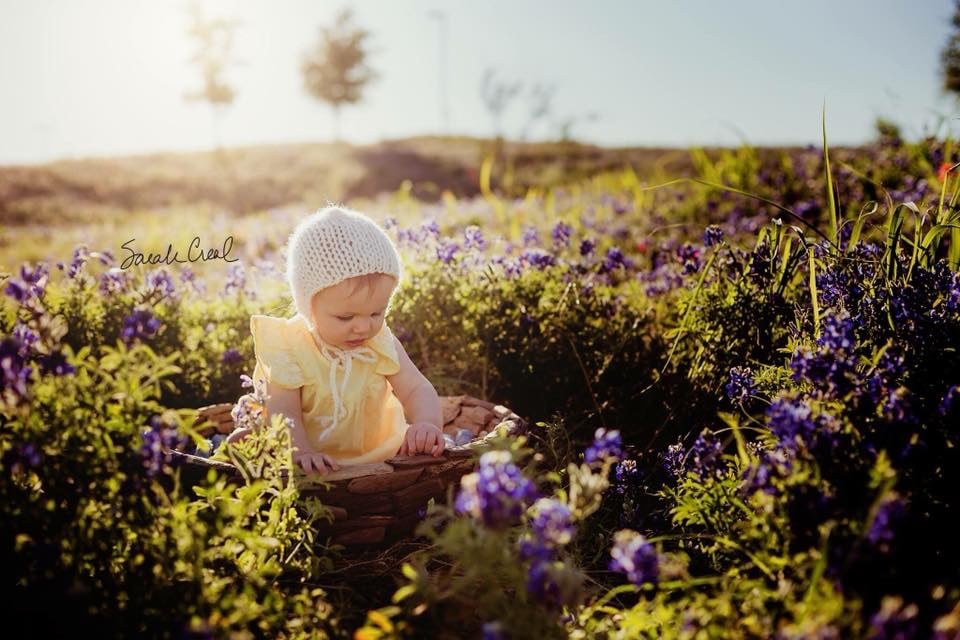 Bluebonnet Family Mini Sessions Killeen