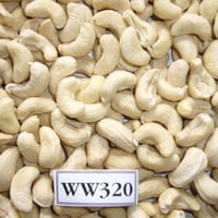 W320 Cashew Nut Vietnam