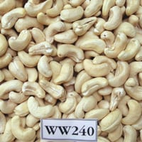 W240 Cashew Nut Vietnam