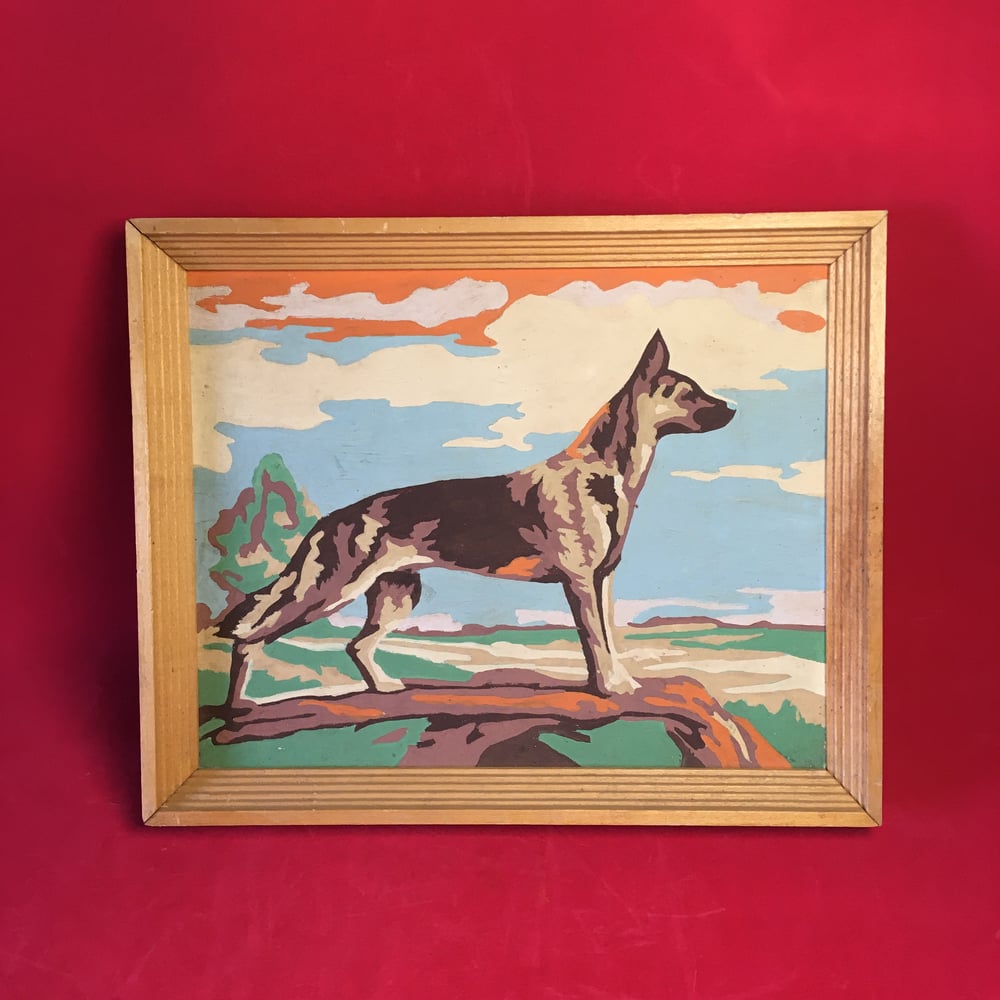 Paint by Number German Shepard
