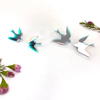 Image 2 of Ptáčci Dichromatic 