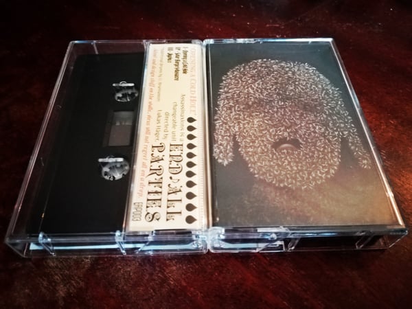 Image of ASSASSINAXIONS - Opening A Cold Hole (CASSETTE)
