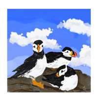 Relaxing Puffins - Greetings Card
