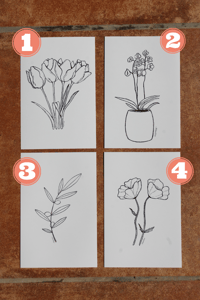 Prints plantitas