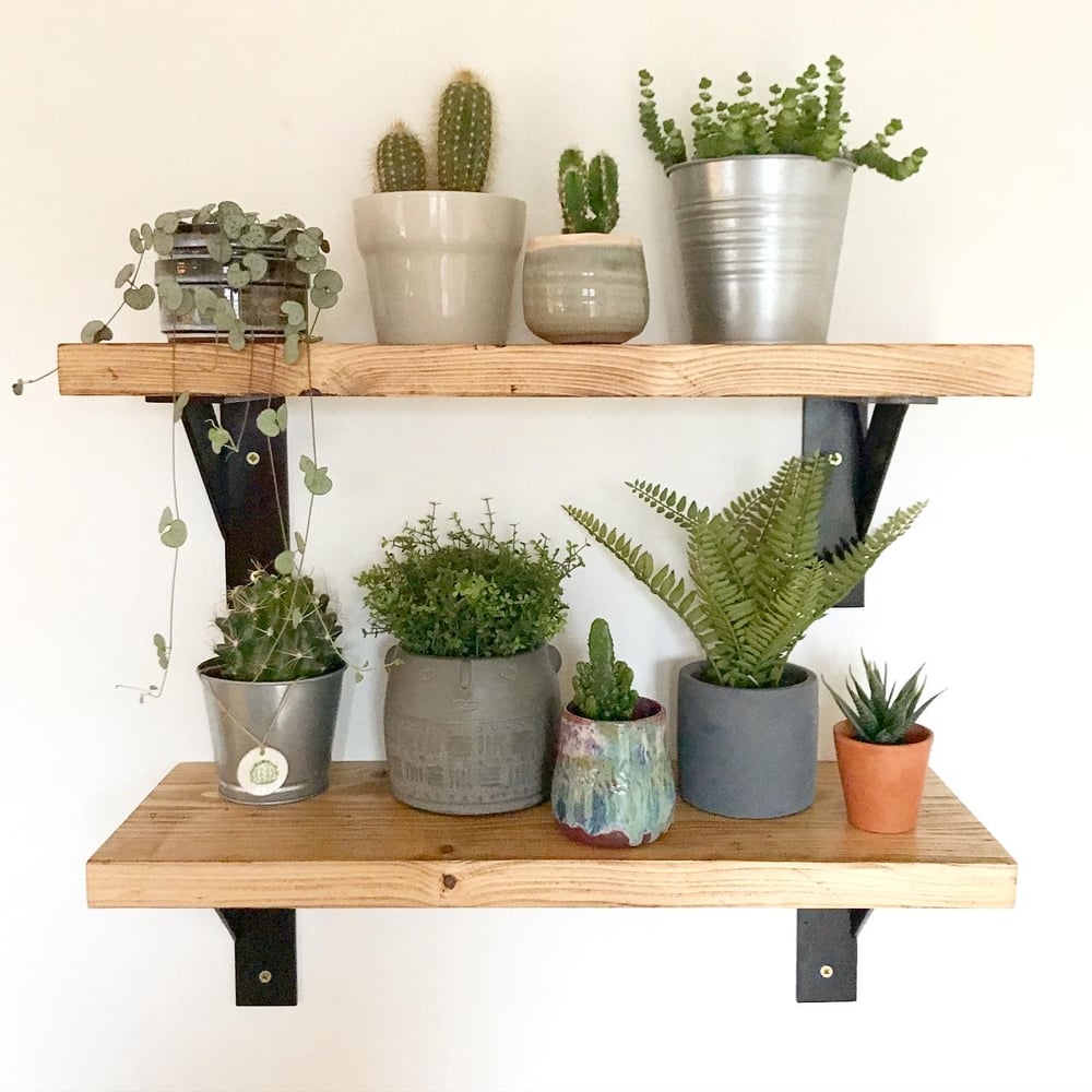 Industrial Scaffolding board shelves
