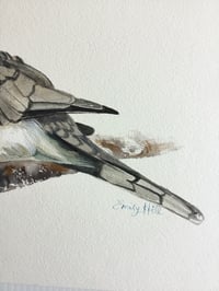 Image 3 of Peaceful dove