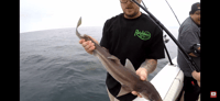 Image 4 of Rusty Hooks T