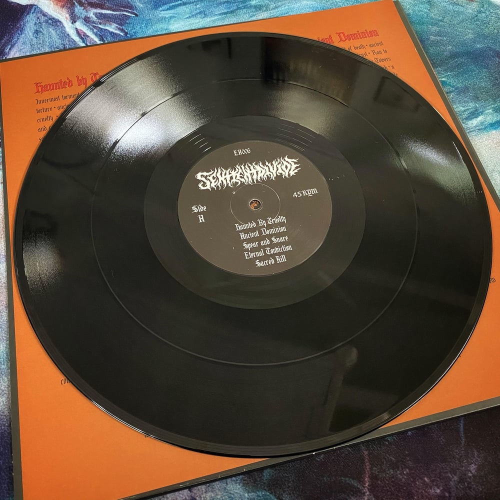 Sentient Divide 'Haunted by Cruelty' LP
