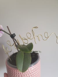 Wire words for plants
