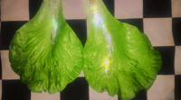 Image 2 of LETTUCE EARRINGS *FREE SHIPPING*