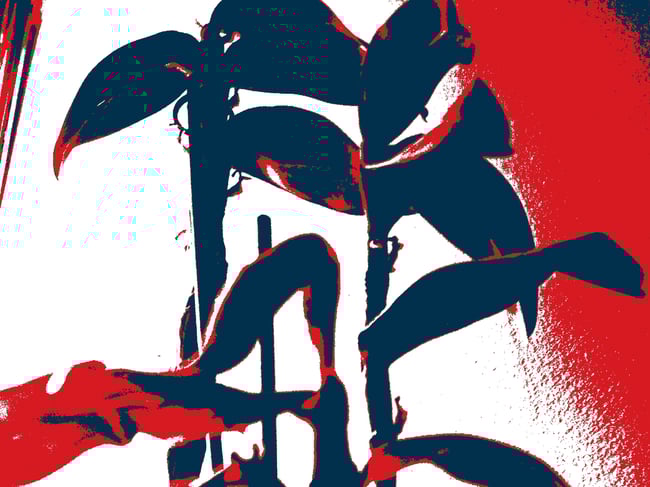 WILLI WILLIAMS & ROBERTO SANCHEZ - THERE'S A PLACE