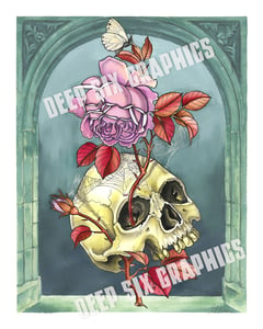 Image of Skull & Trompe L'Oeil