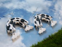 Image 2 of Cow rainbows