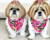 Image 1 of Melon Madness - Pet Bandana