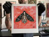 L' Uomo Falena / Mothman 